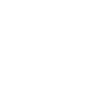 Orion